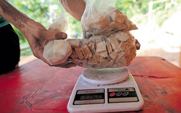 Desmantelan en Colombia banda narcotraficante asociada al cártel de Sinaloa