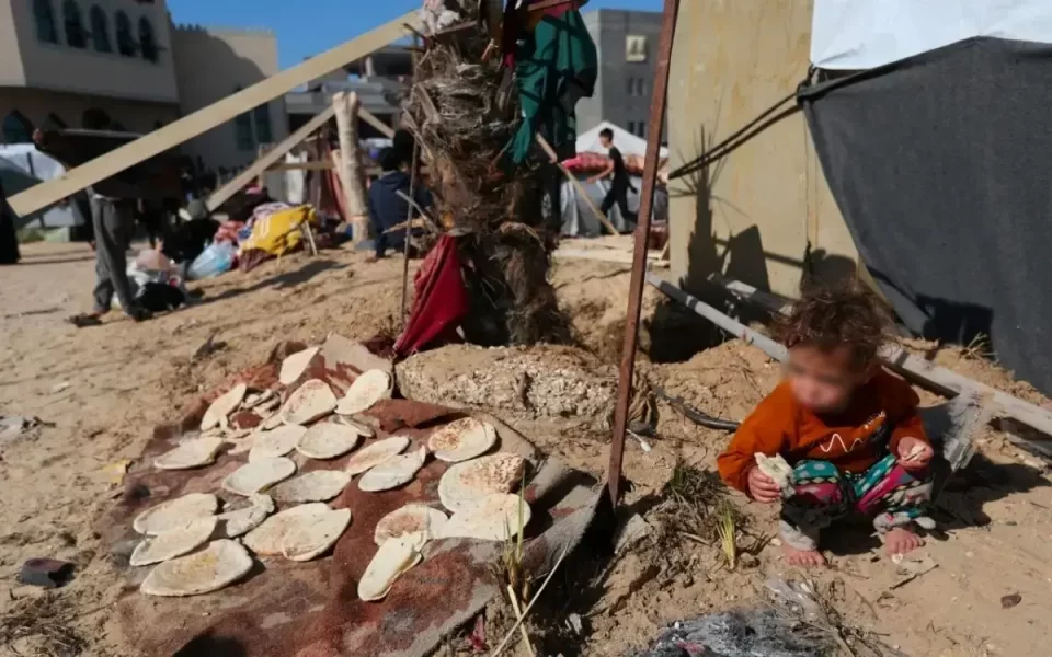 A nivel mundial 5.8 millones de niños son víctimas de hambre crónica